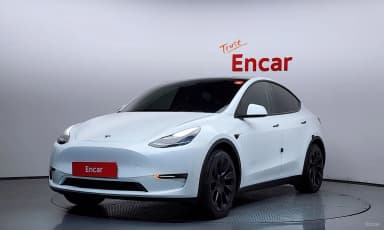 Model Y