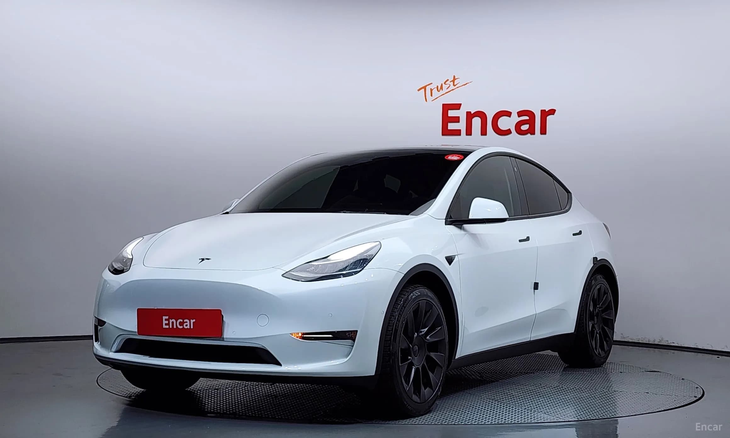 Model Y