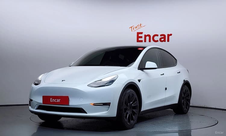 Model Y