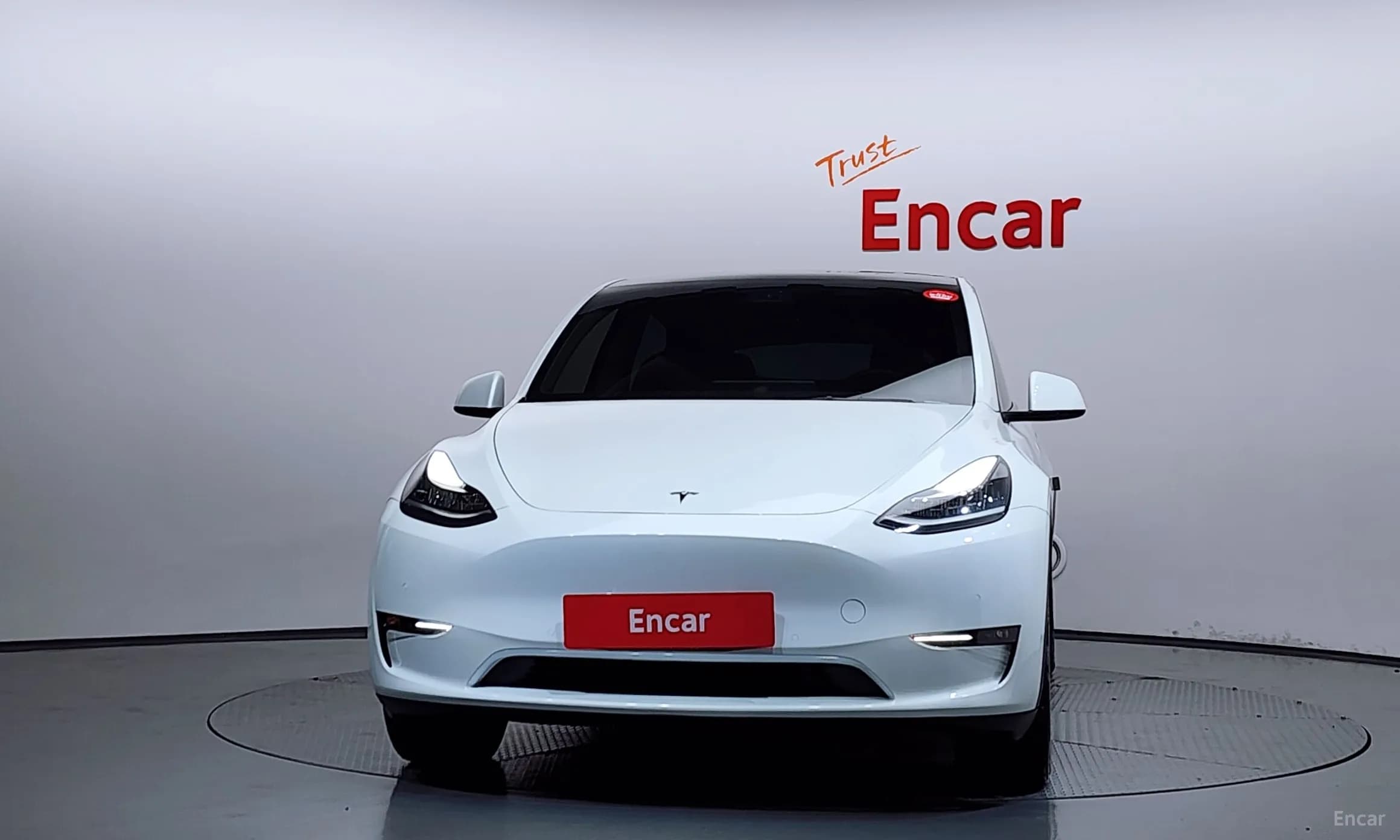 Model Y