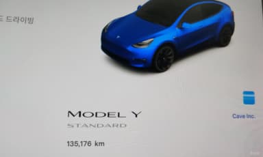 Model Y