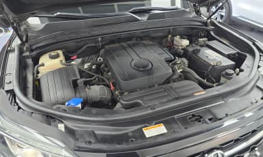 Rexton Sports
