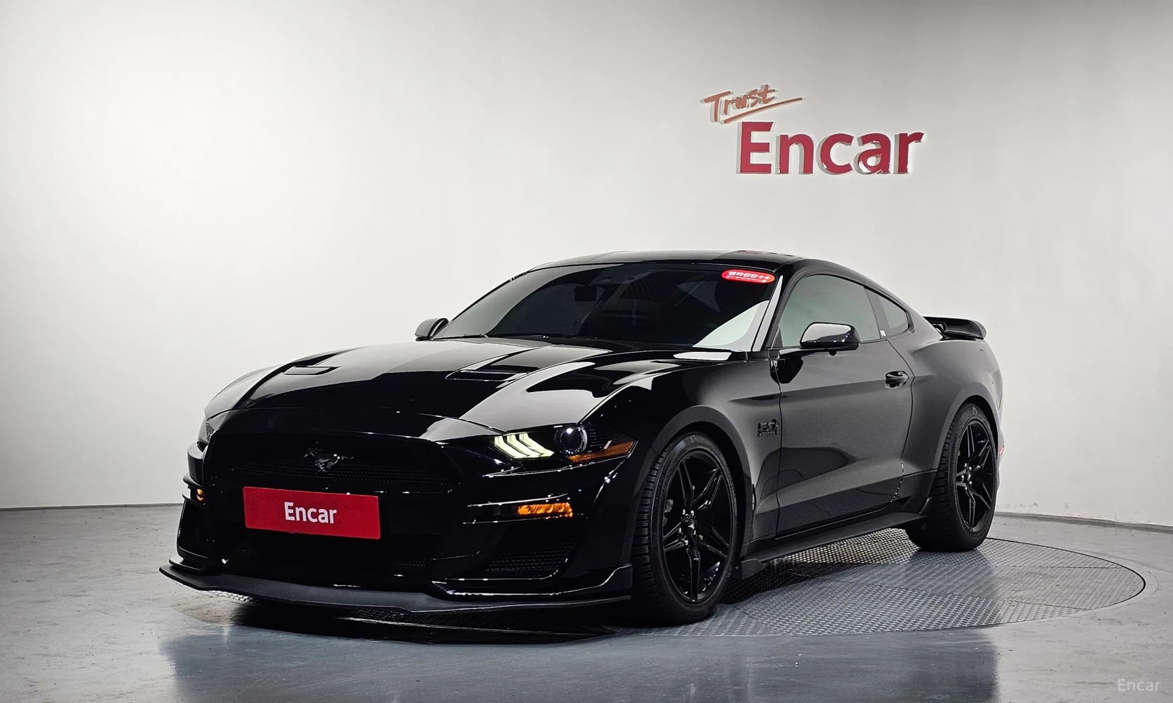 Mustang