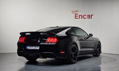 Mustang