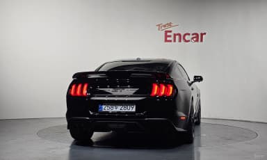 Mustang