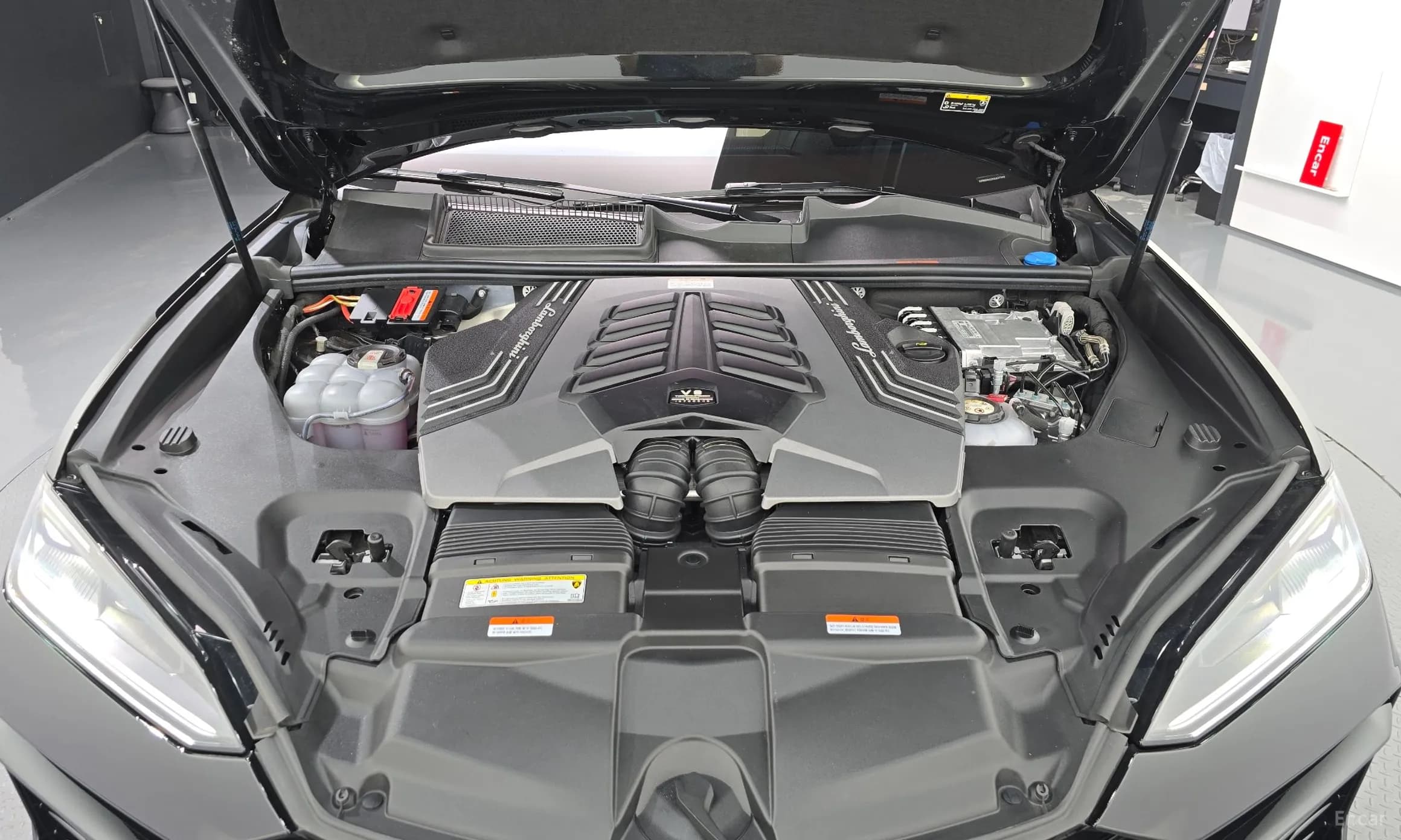 Urus