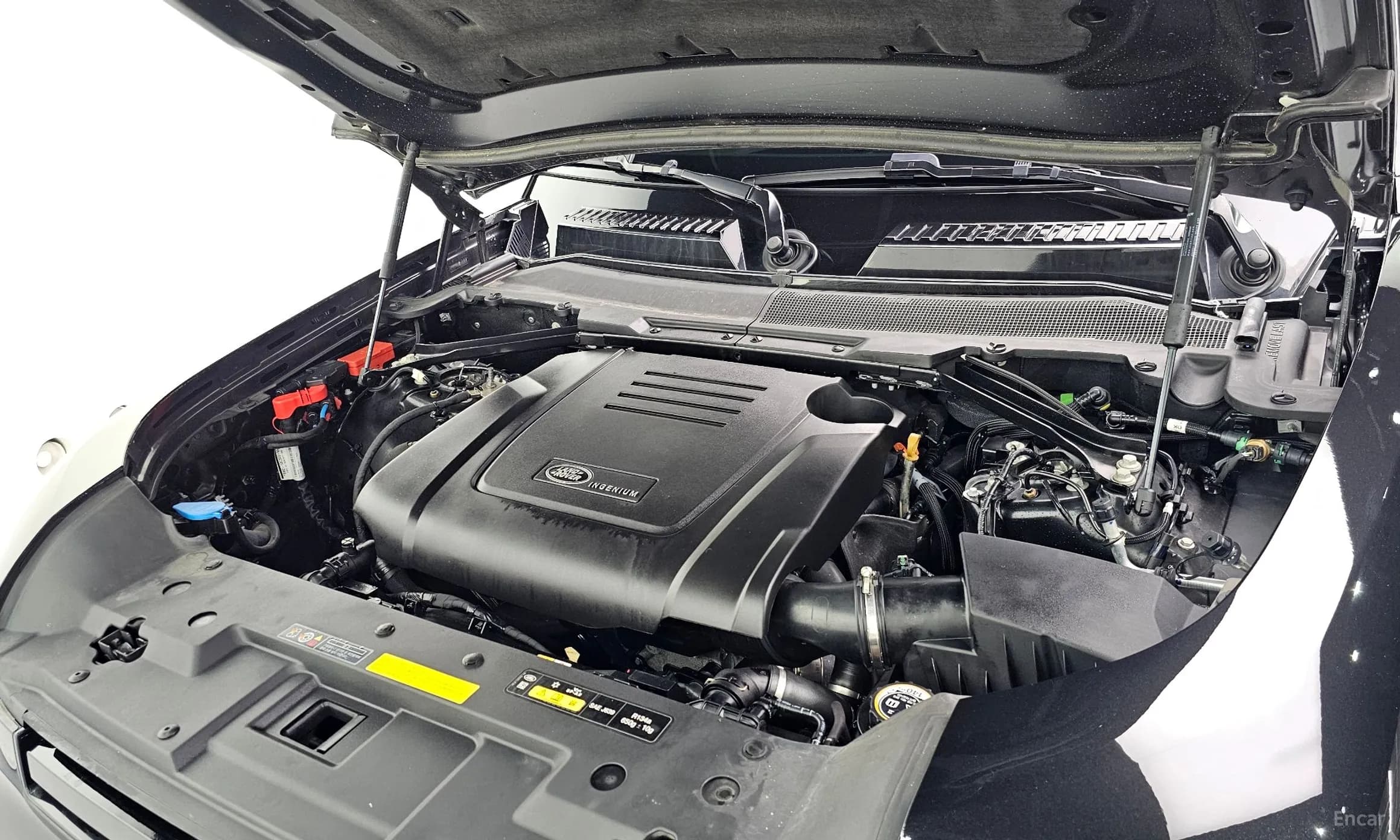 Defender (L663)