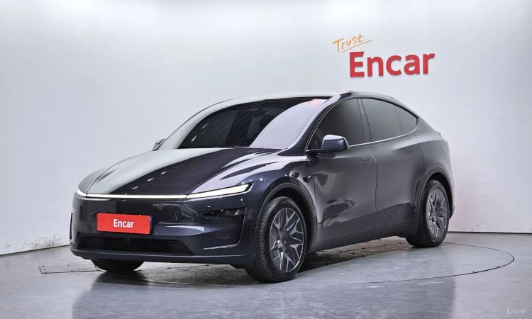 Model Y