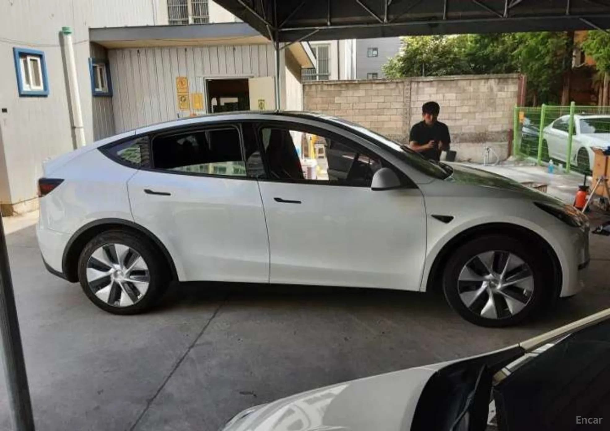 Model Y