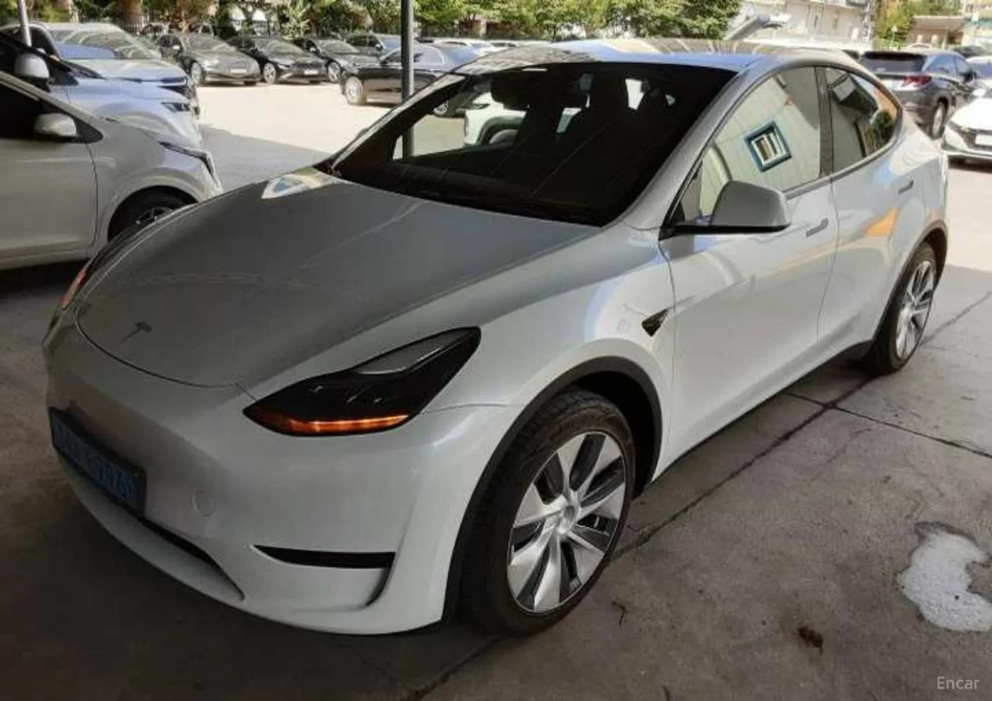 Model Y