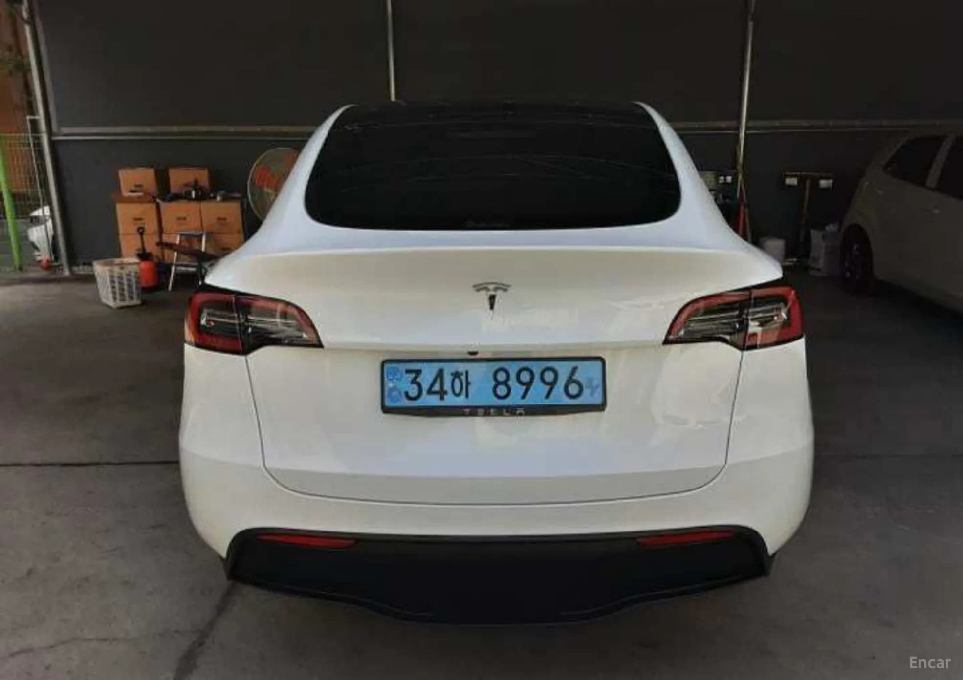 Model Y