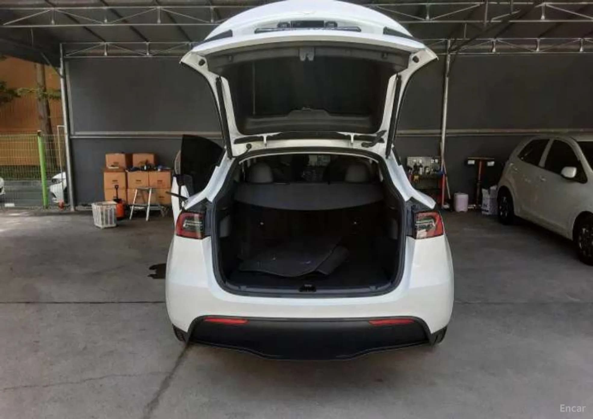 Model Y