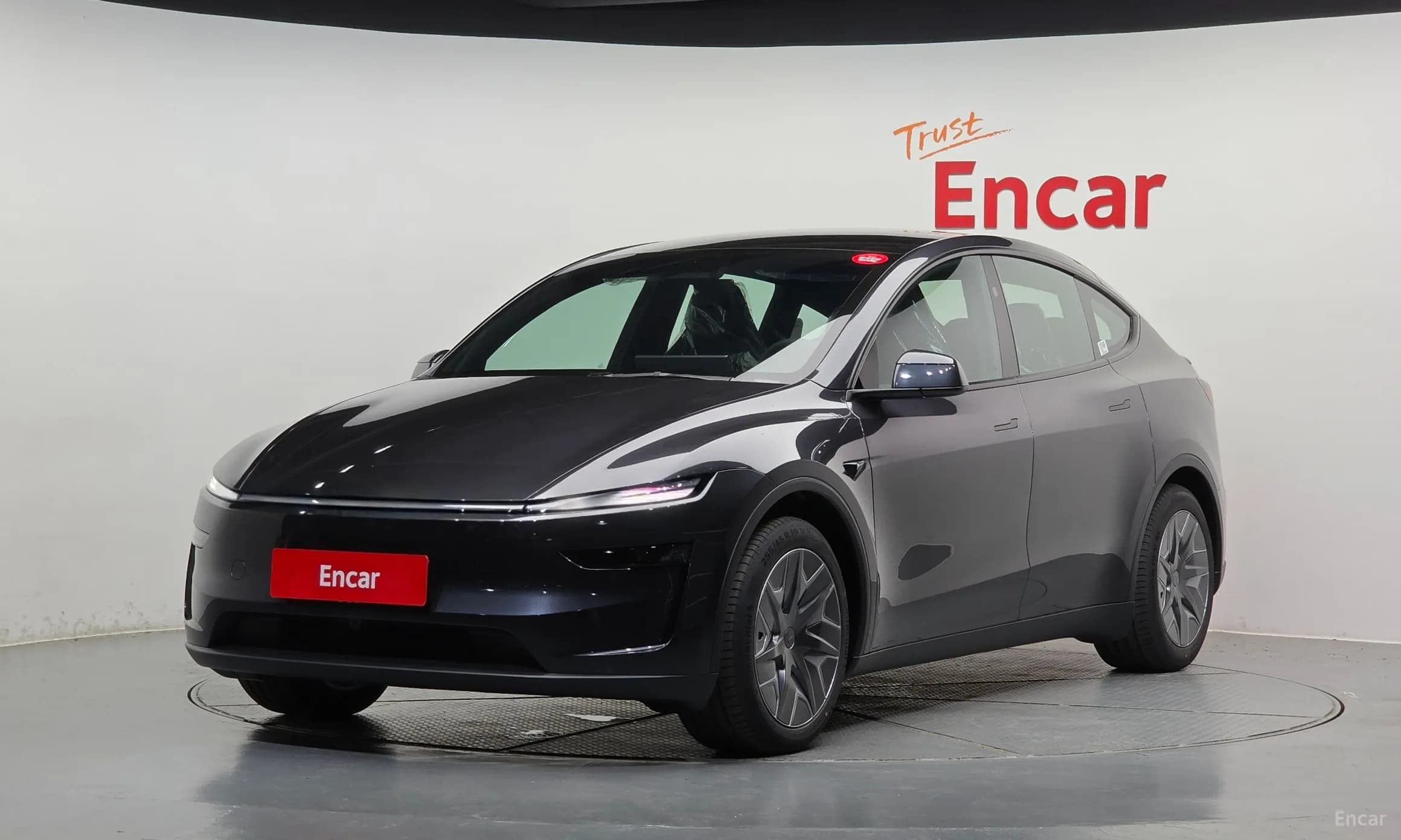 Model Y
