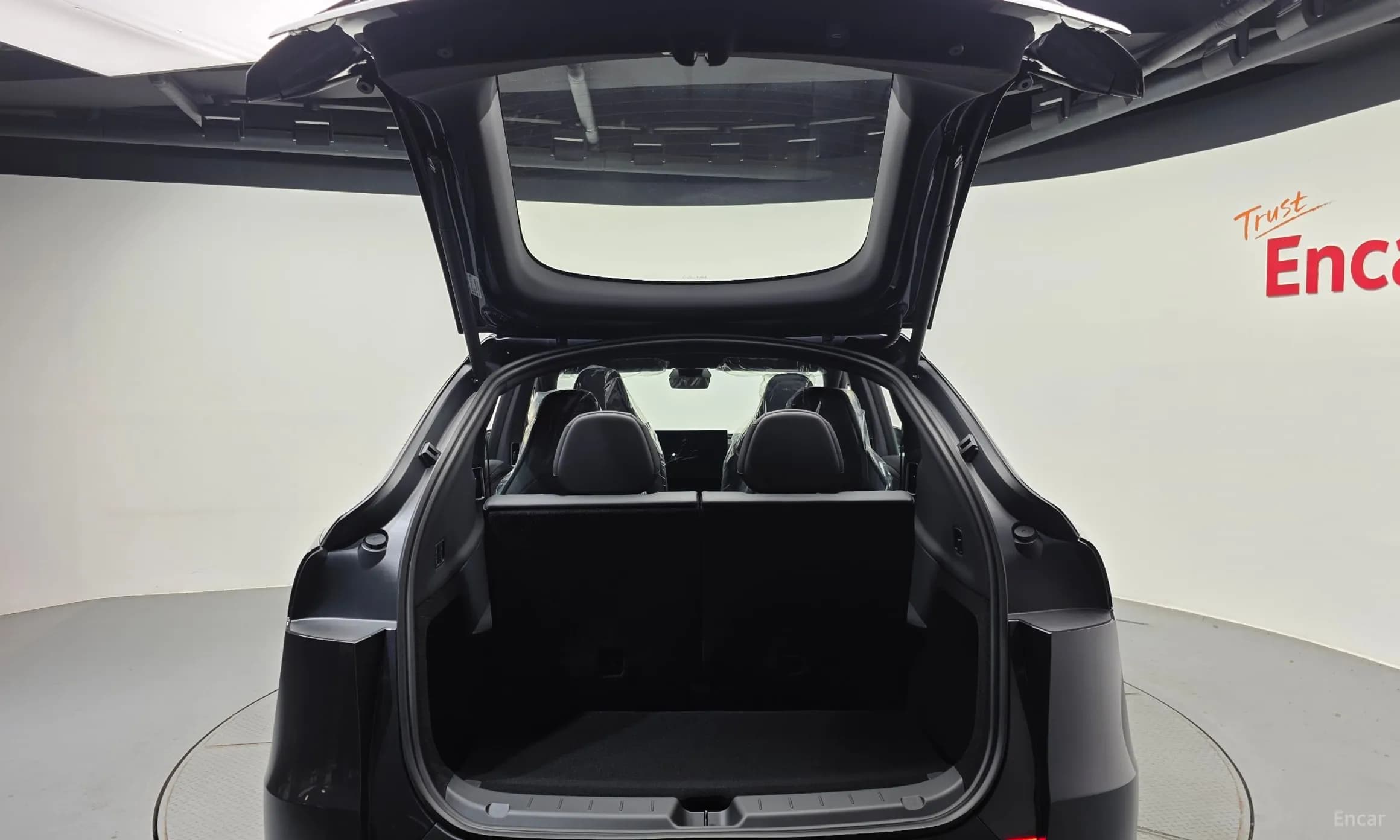 Model Y