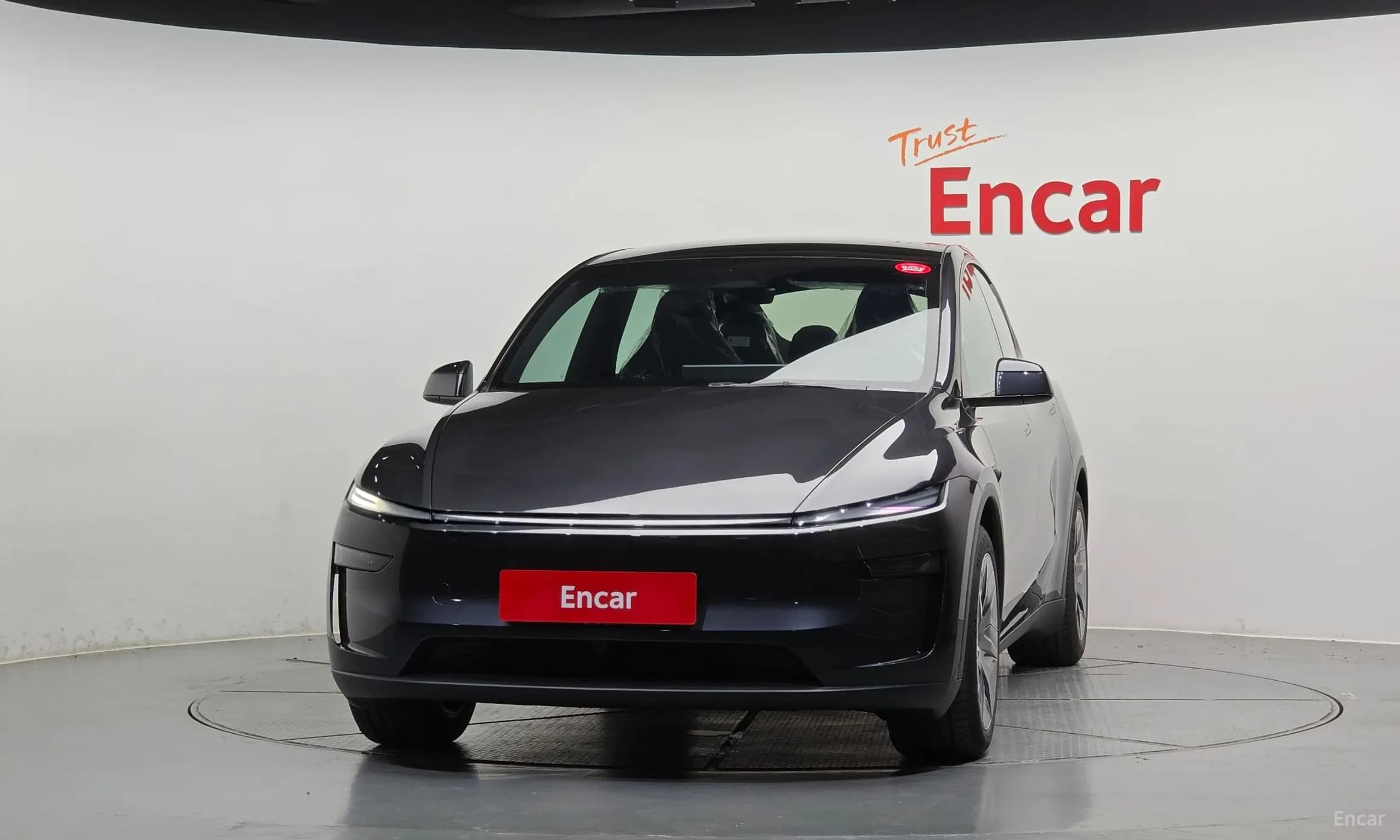 Model Y