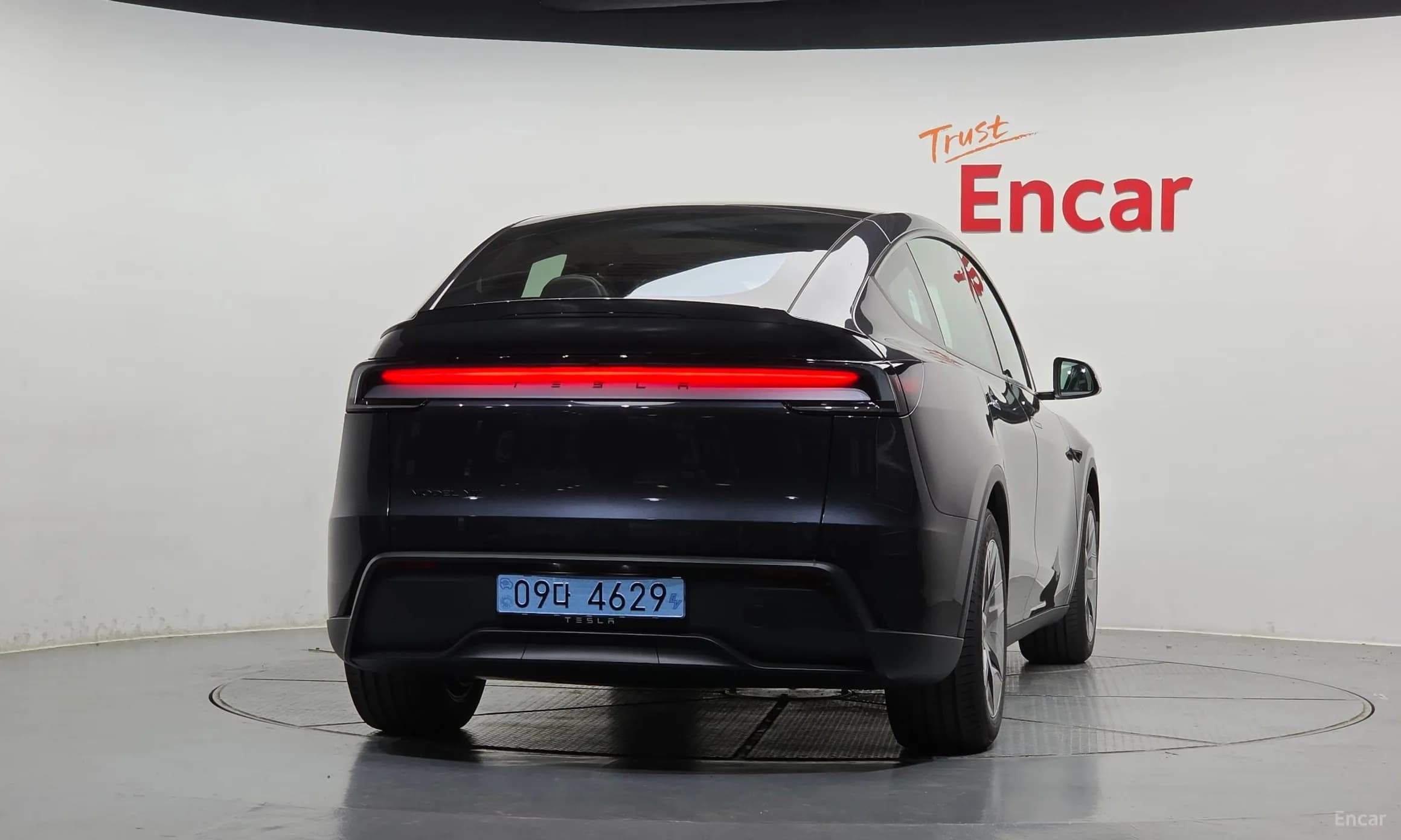 Model Y