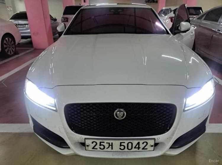 XF (x260)
