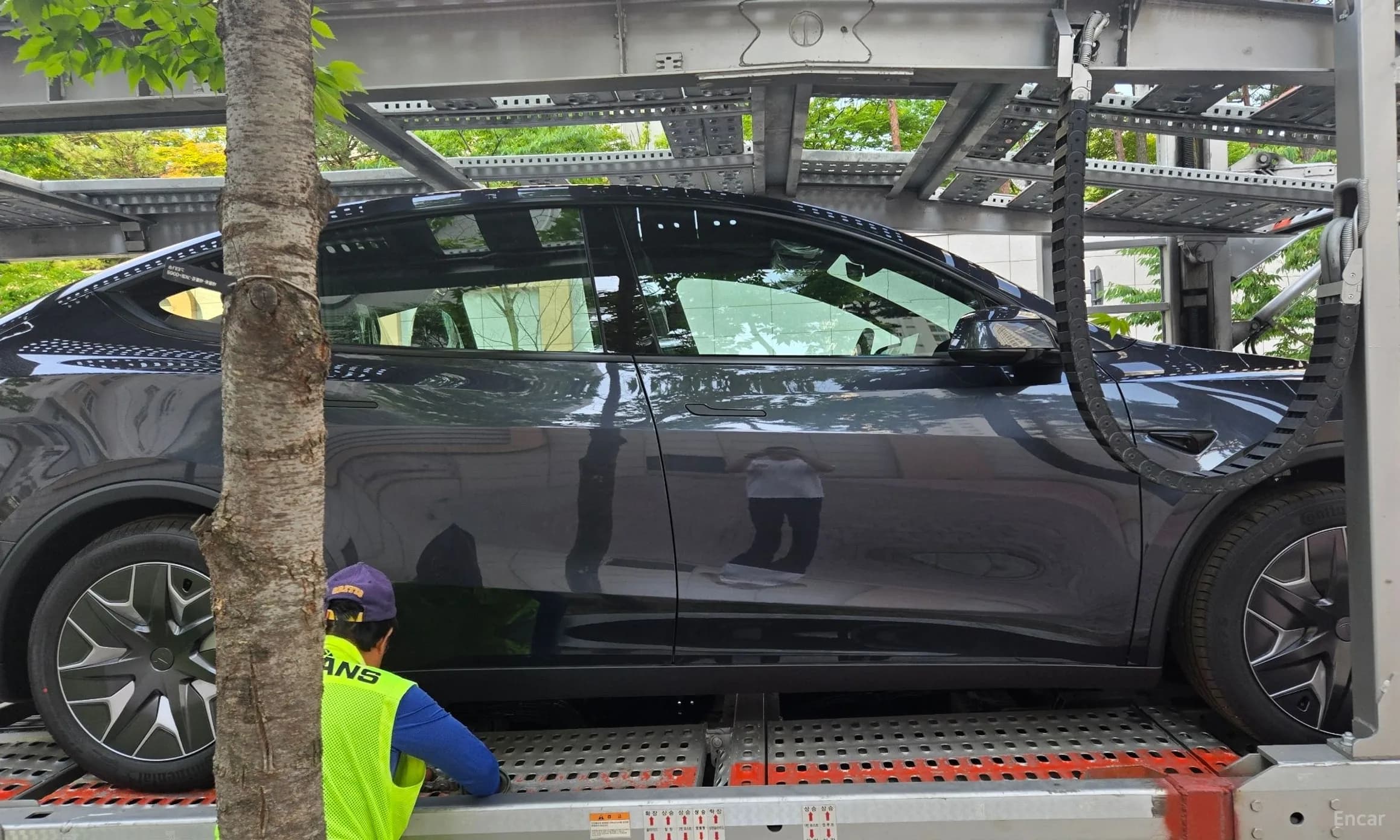 Model Y