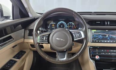 XF (x260)