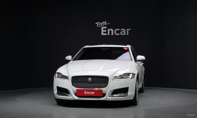 XF (x260)