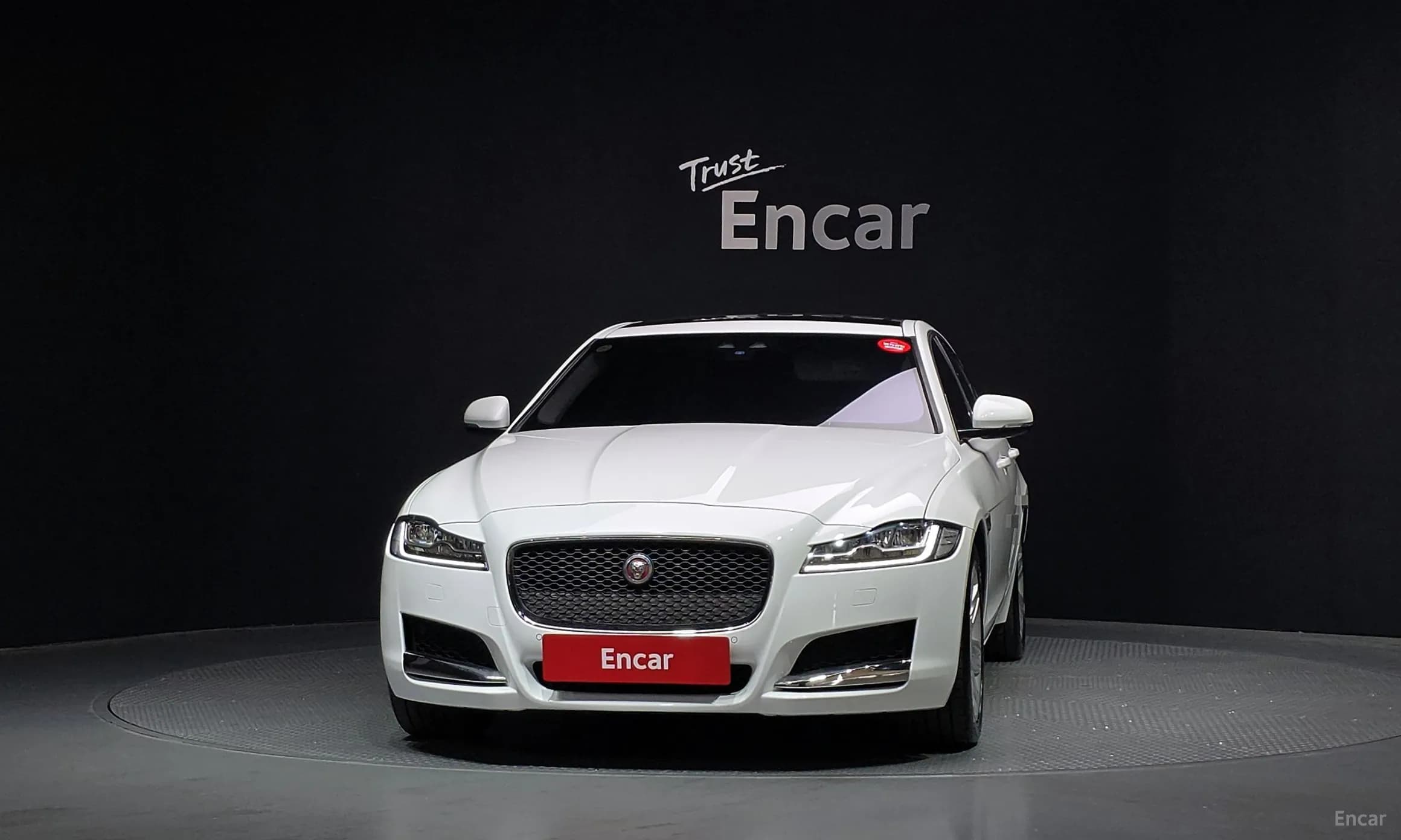 XF (x260)