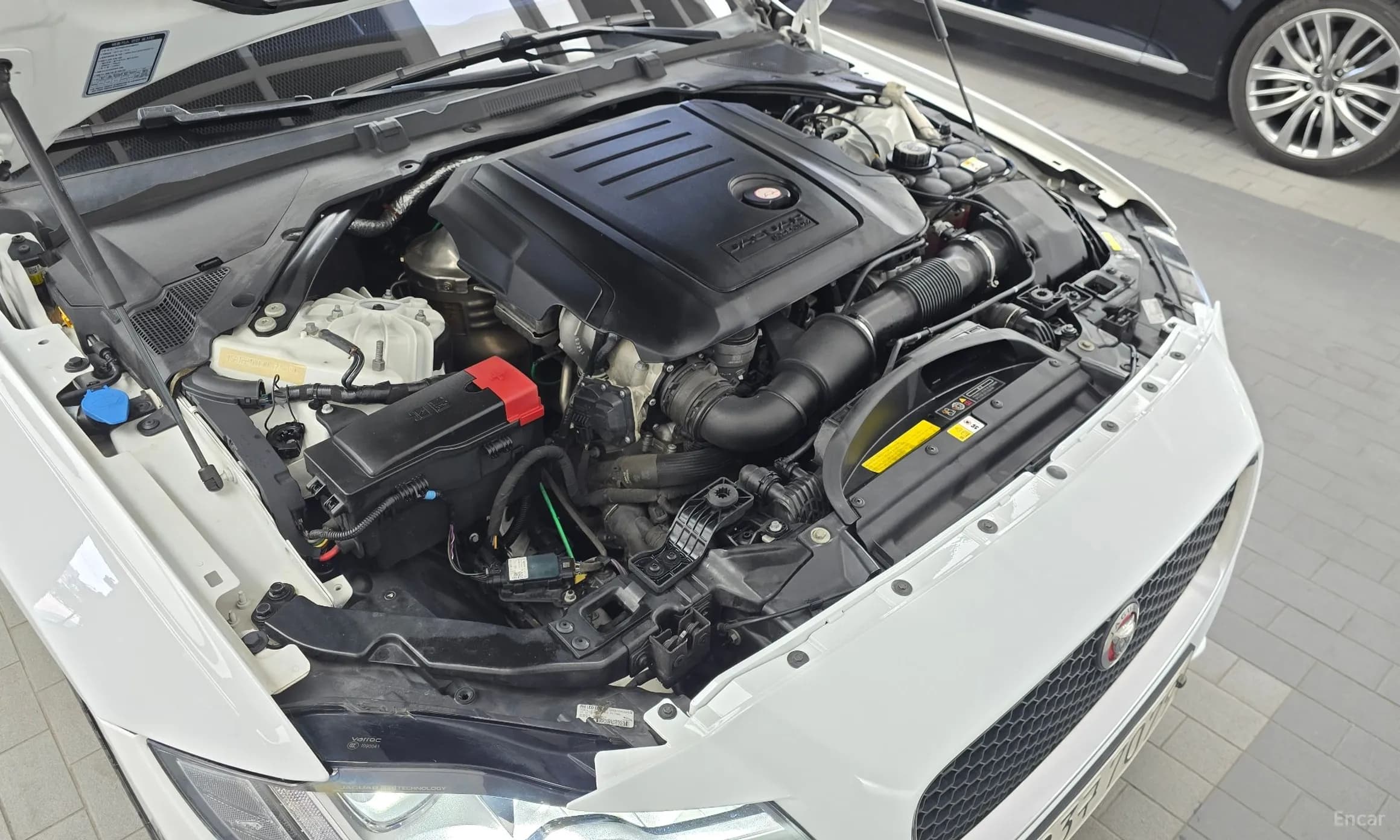 XF (x260)