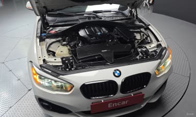 1 Series (F20)