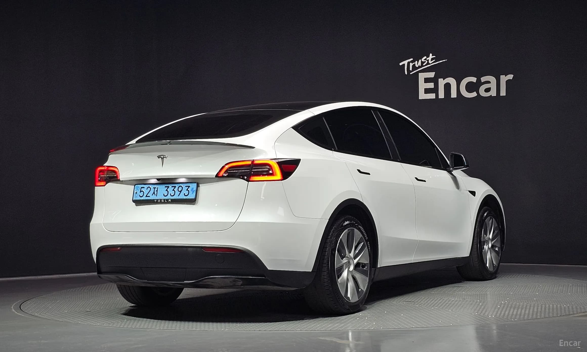 Model Y