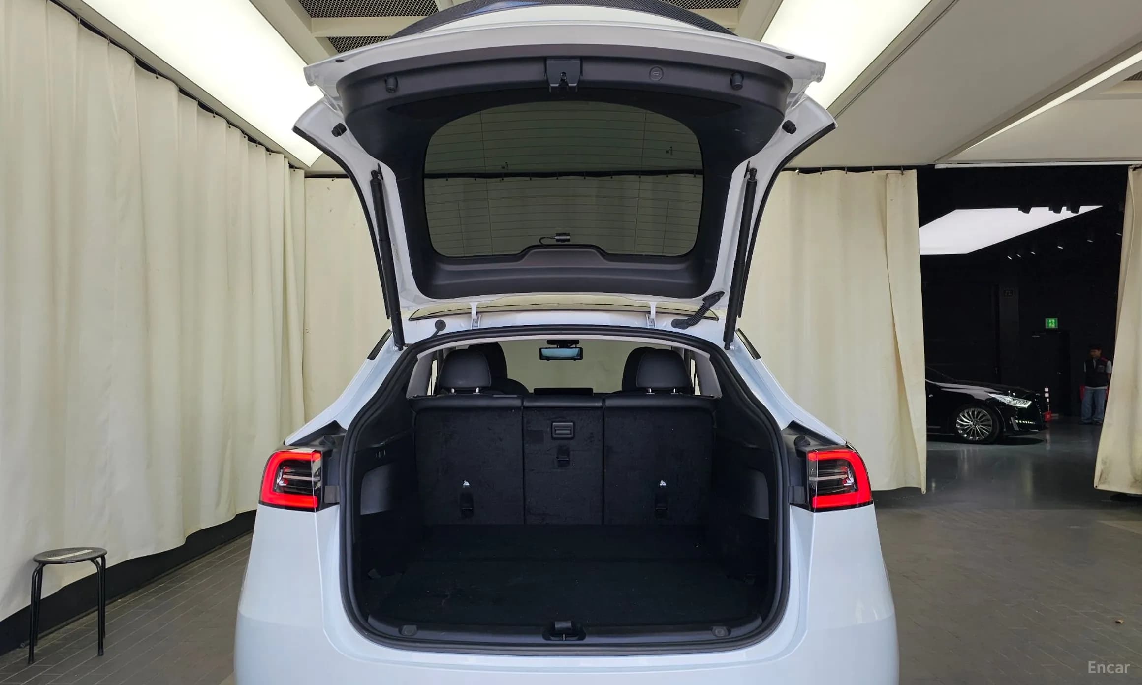 Model Y