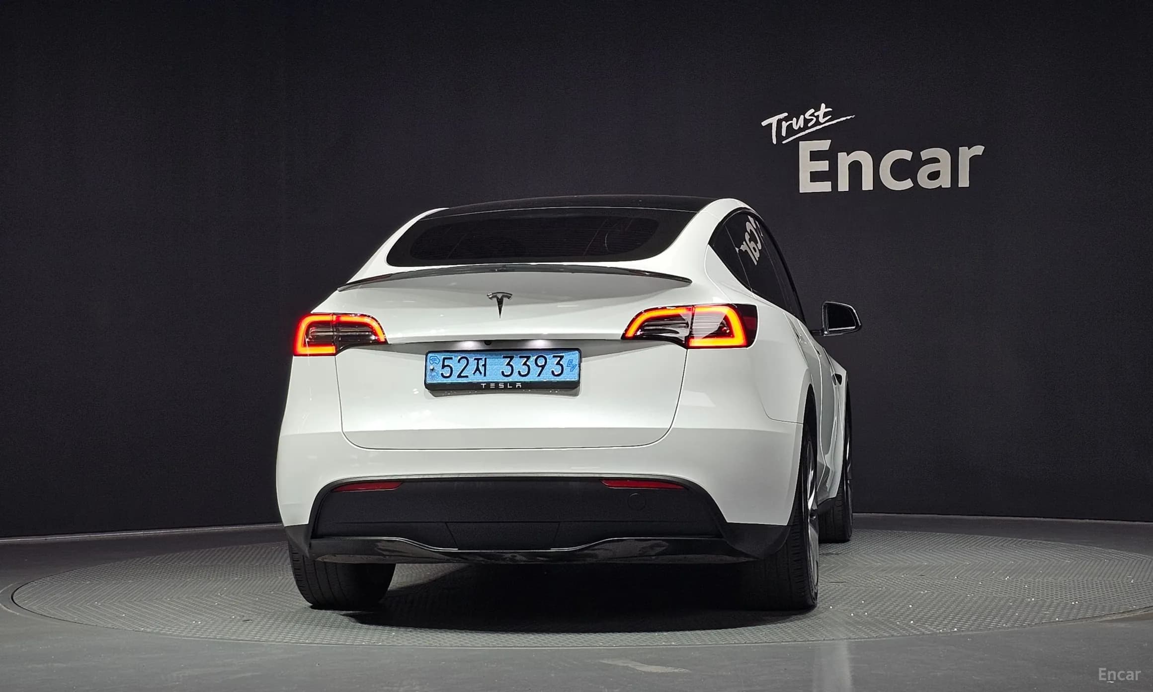 Model Y