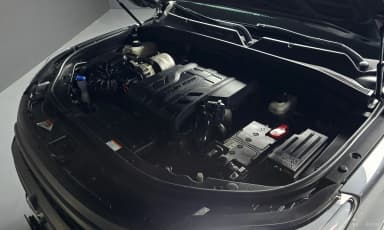 Rexton Sports