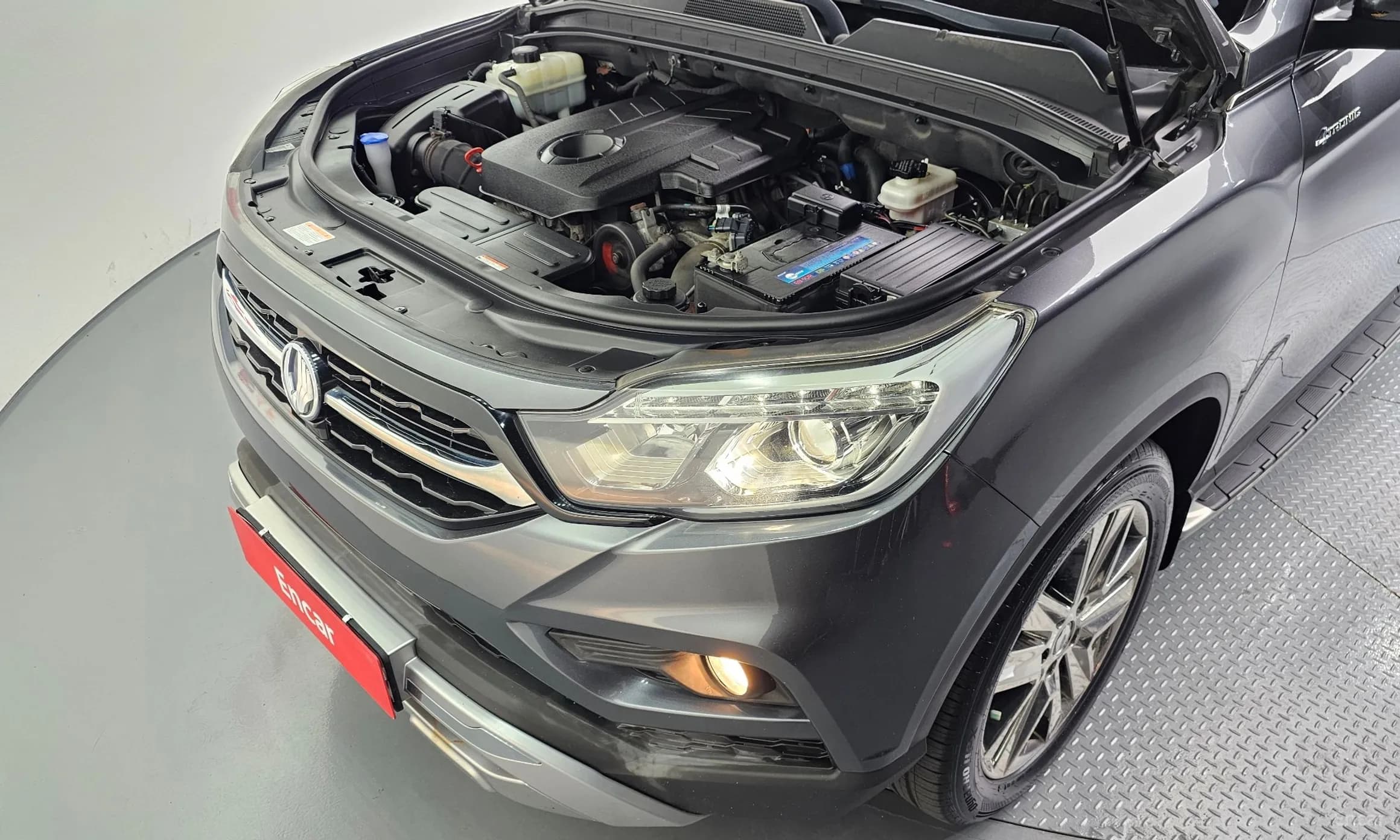 Rexton Sports
