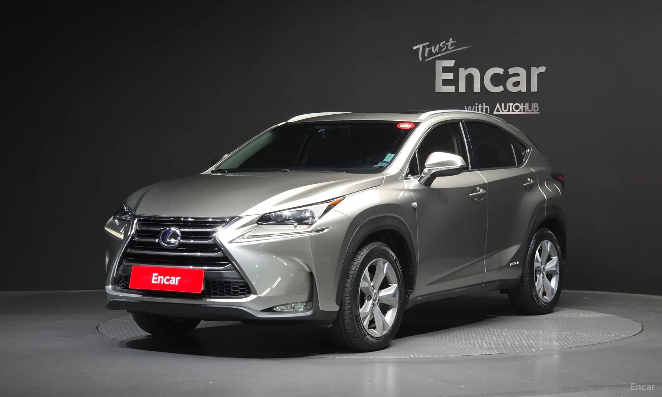 NX300h