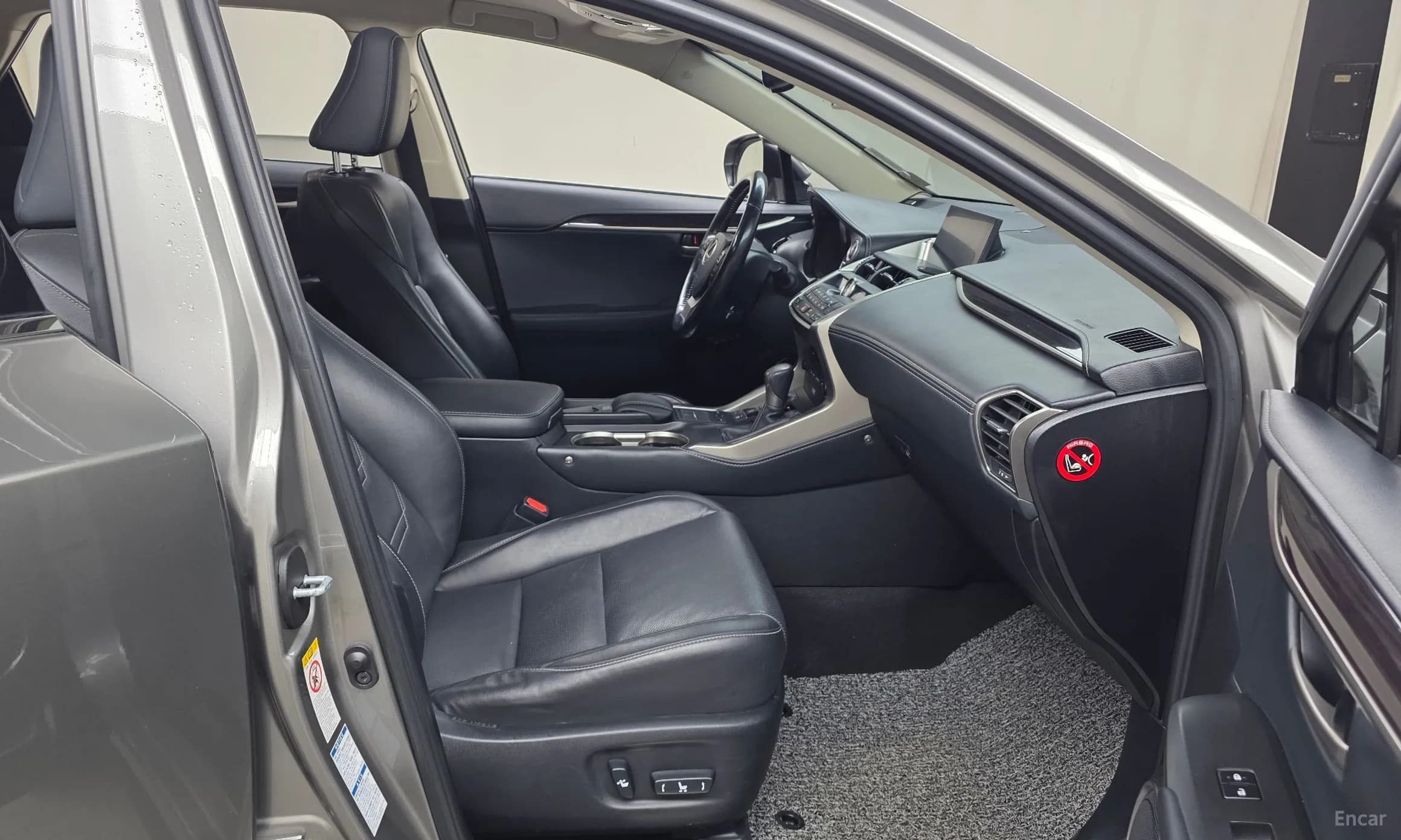 NX300h