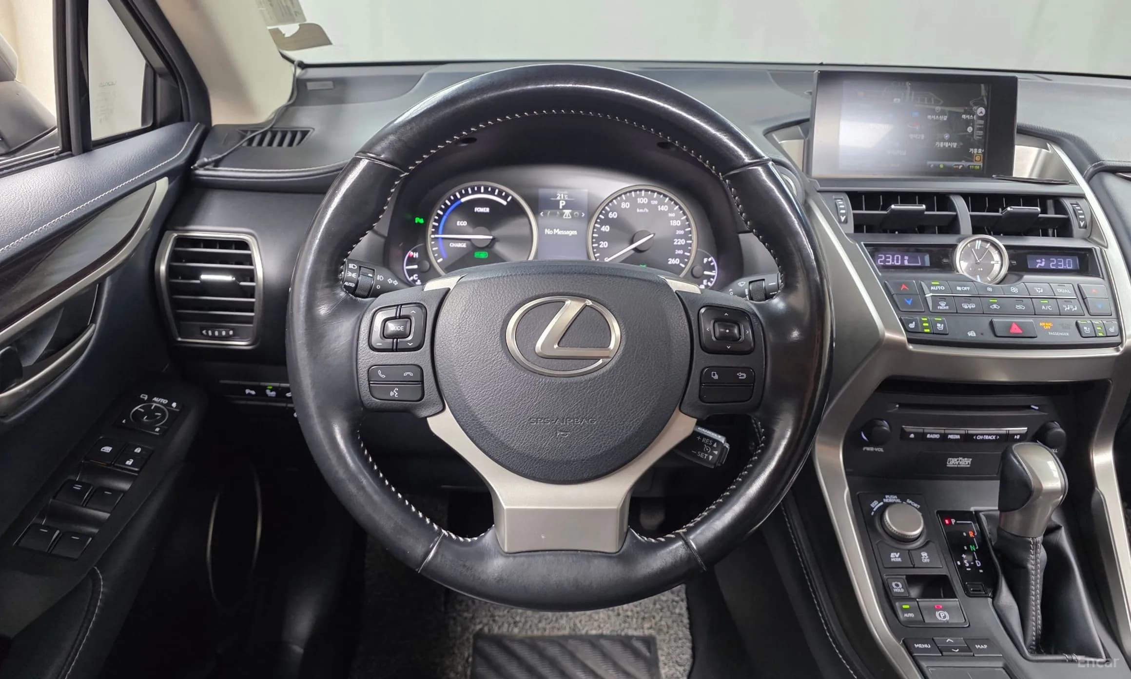 NX300h