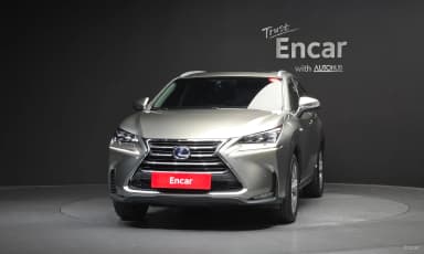 NX300h