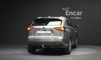 NX300h