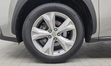 NX300h