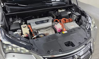 NX300h