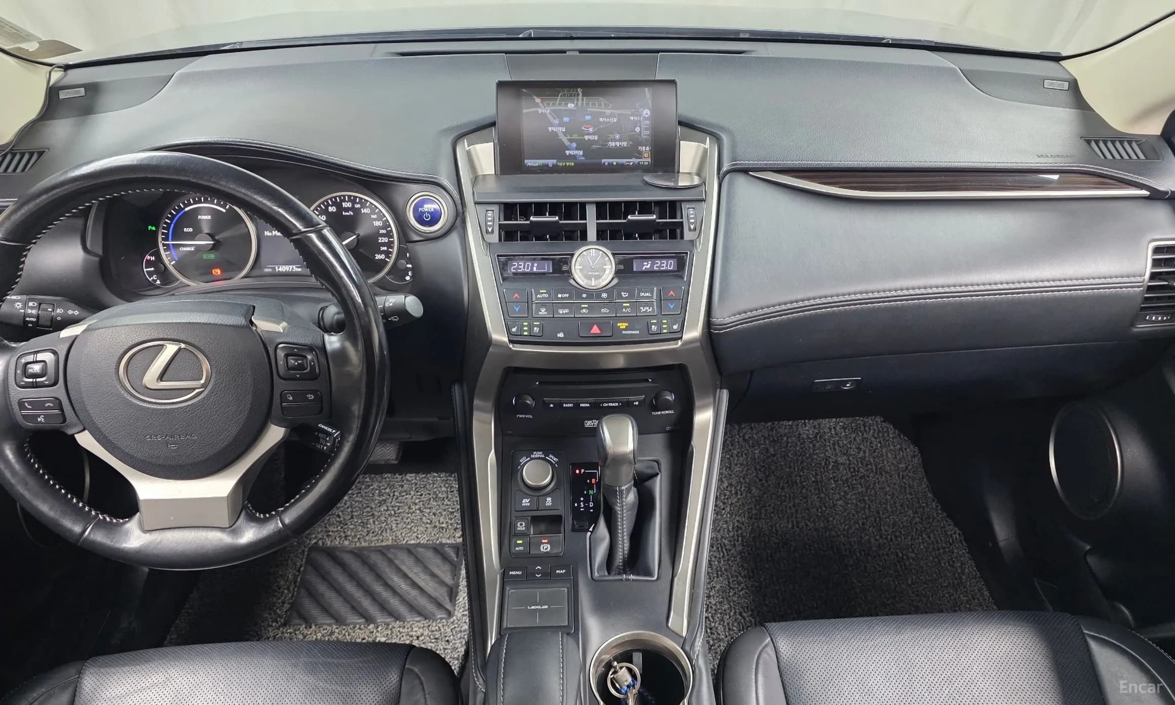 NX300h