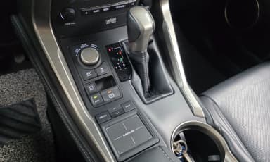 NX300h