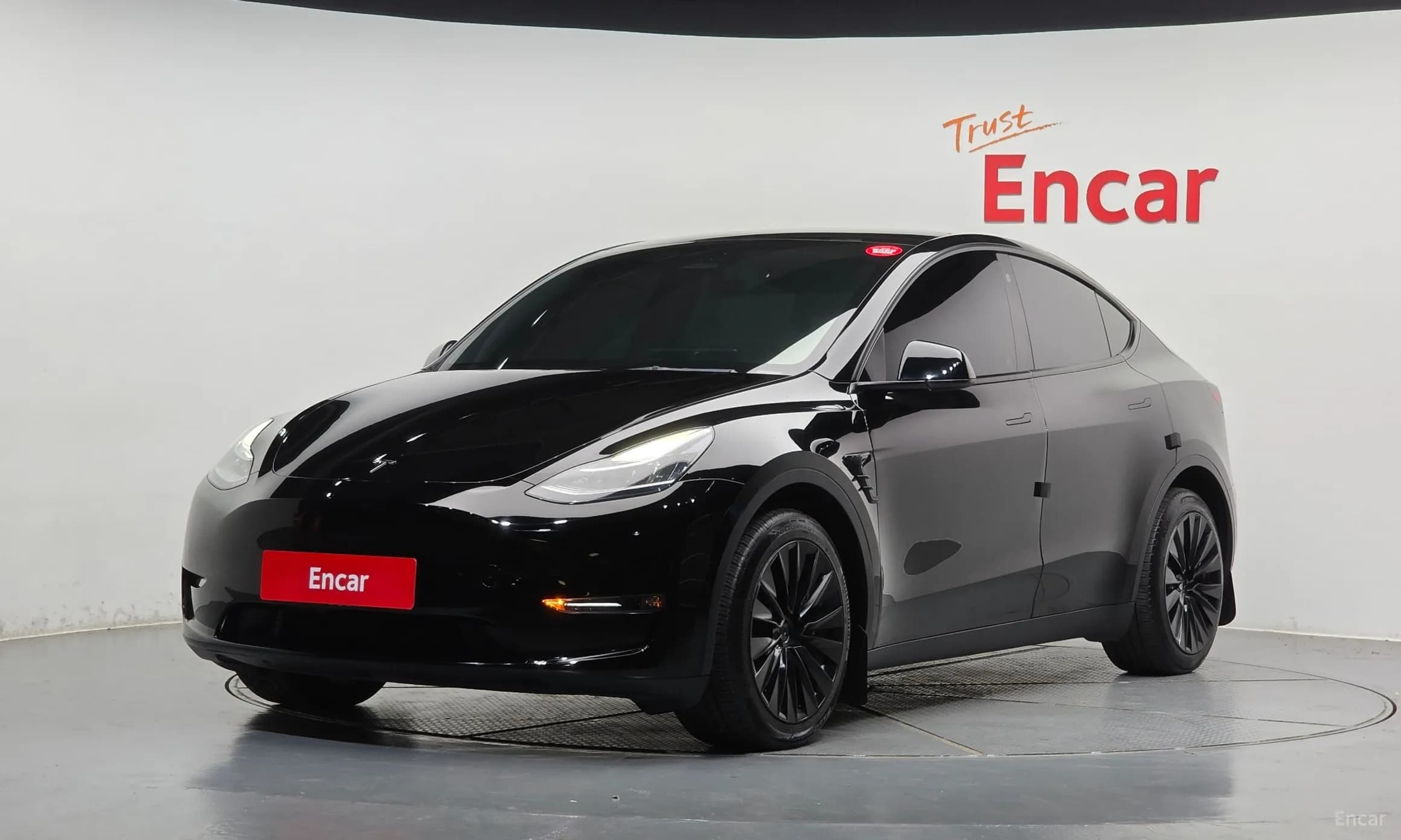 Model Y