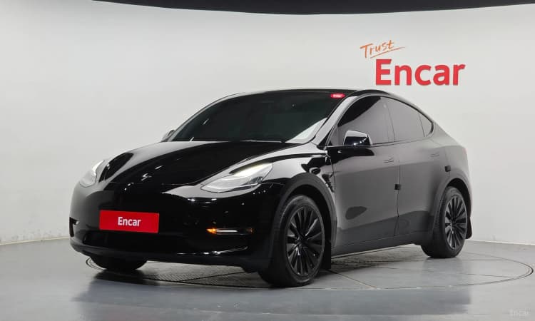 Model Y