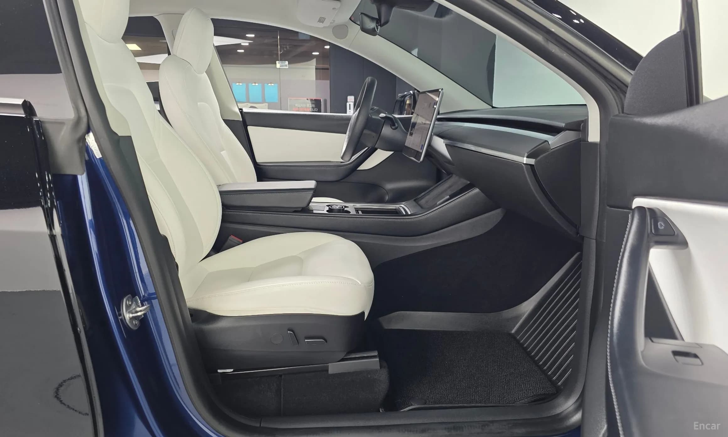 Model Y