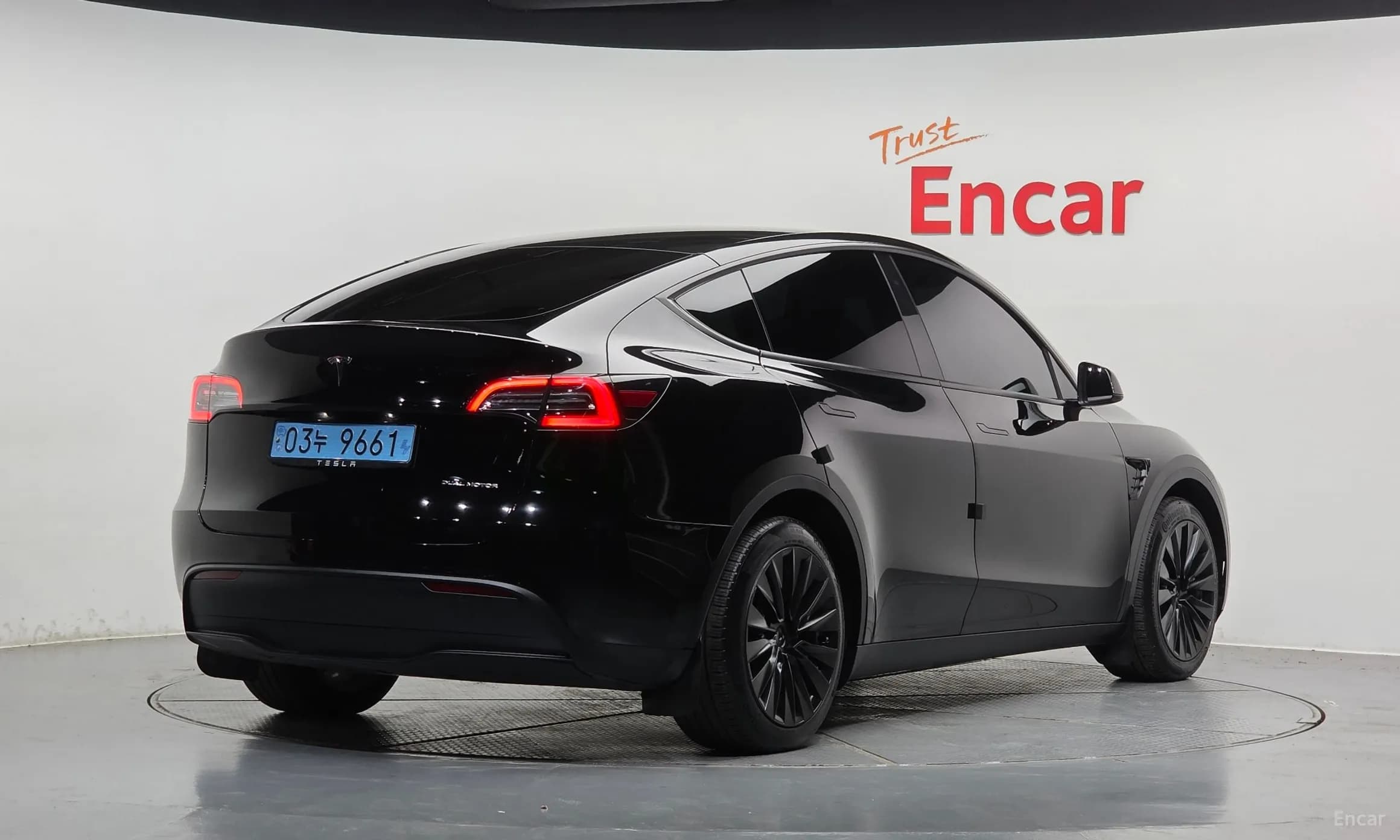 Model Y