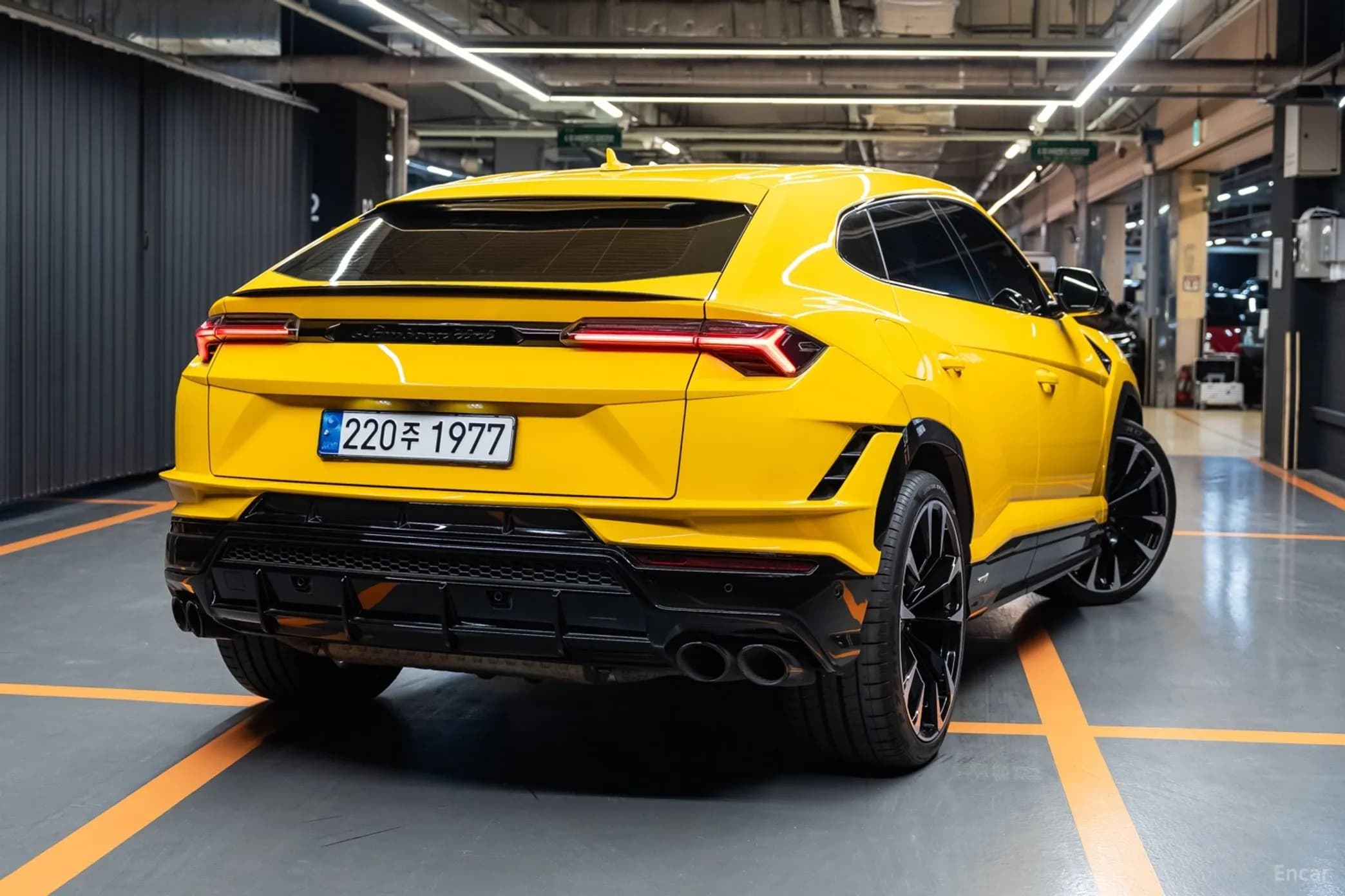 Urus