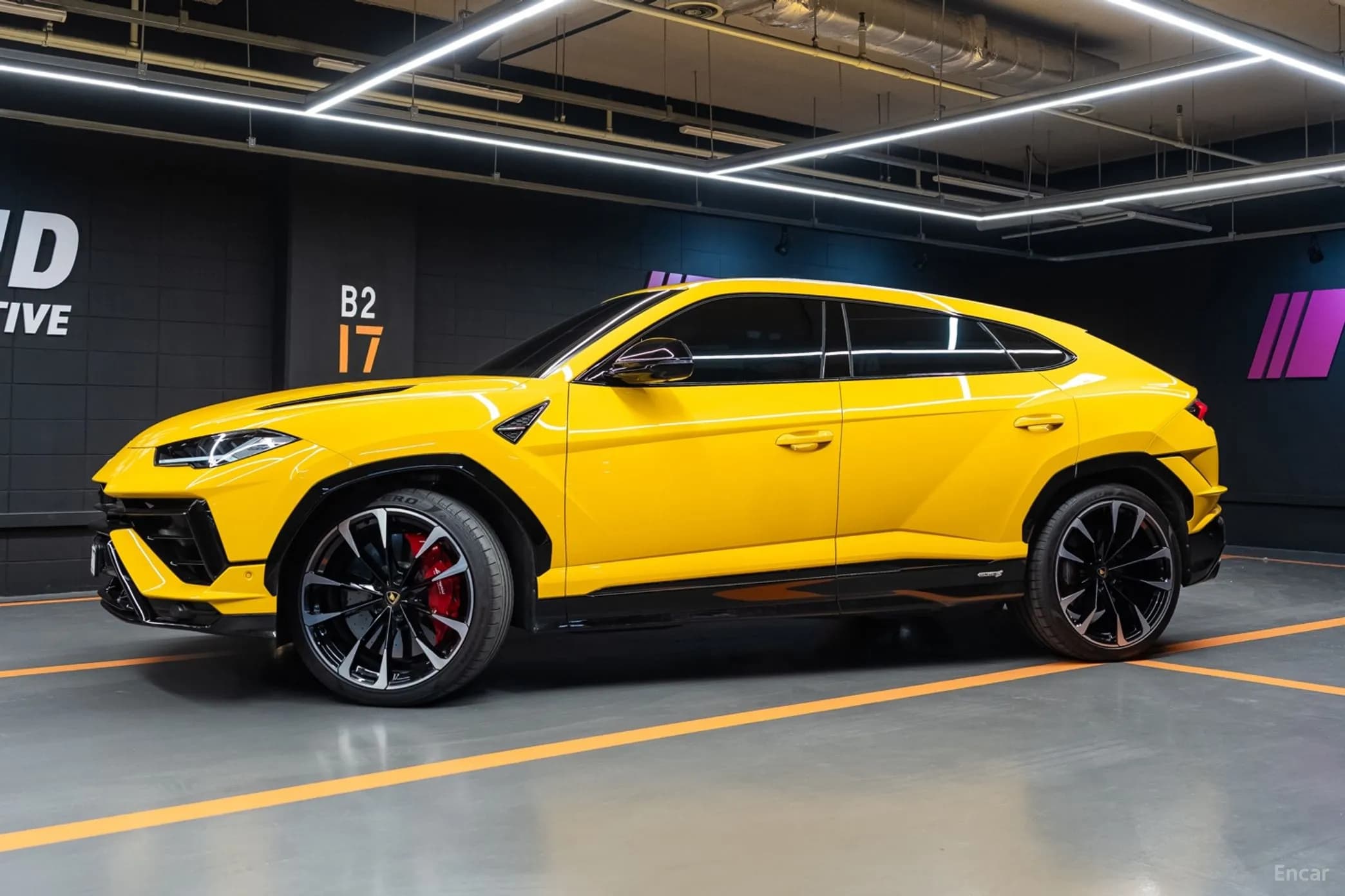 Urus