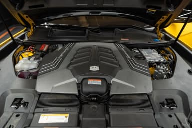 Urus