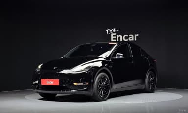 Model Y
