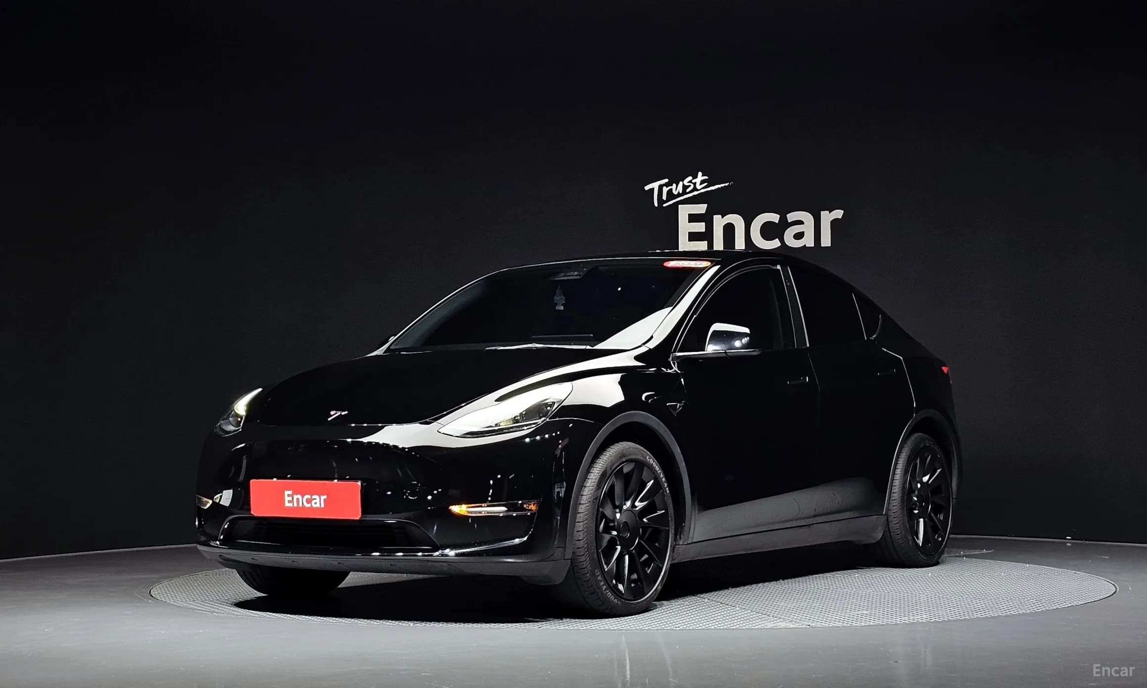 Model Y